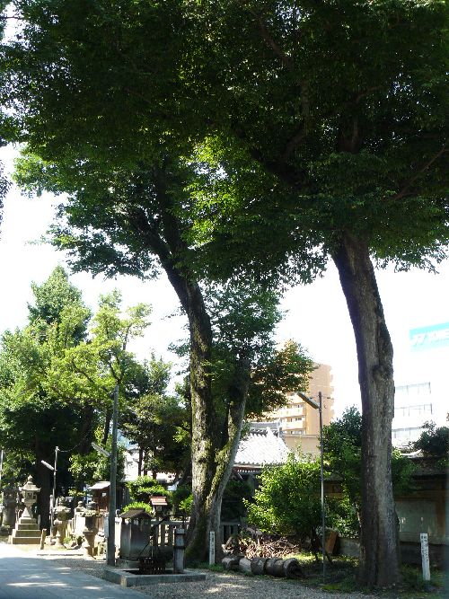 ���u�_��