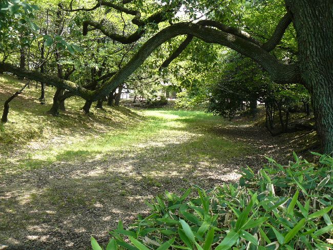 �����R�Õ�