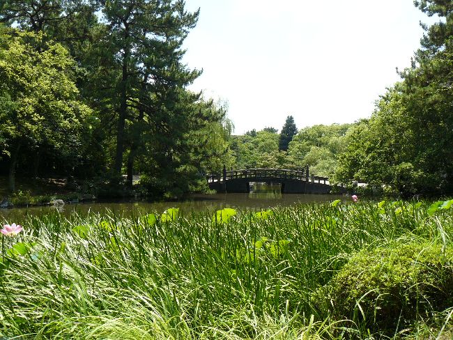 �ߕ�����