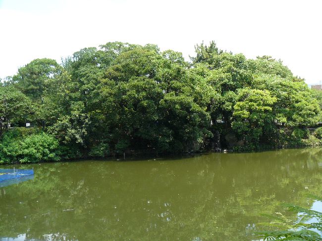 �ߕ�����