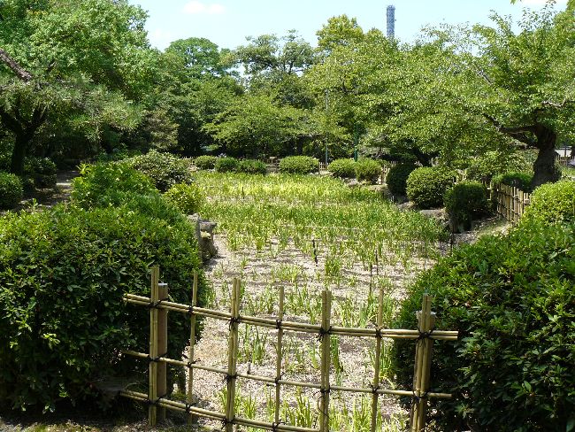 �ߕ�����