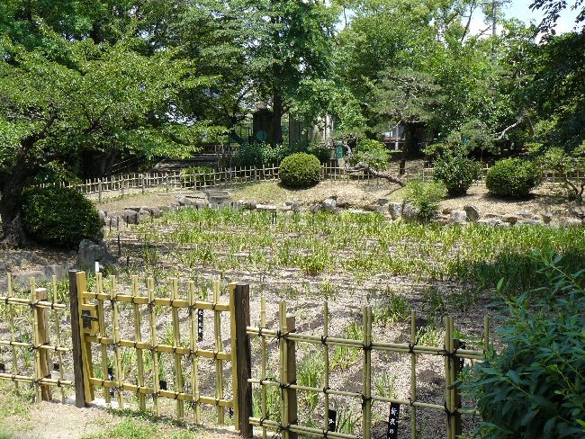 �ߕ�����