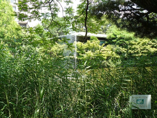 �ߕ�����