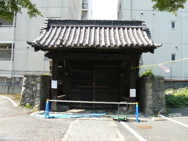 ���{�莛�ʉ@