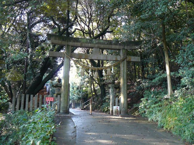 �v���v�_��