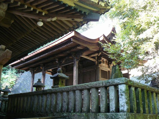 �v���v�_��