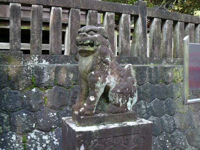 �v���v�_��