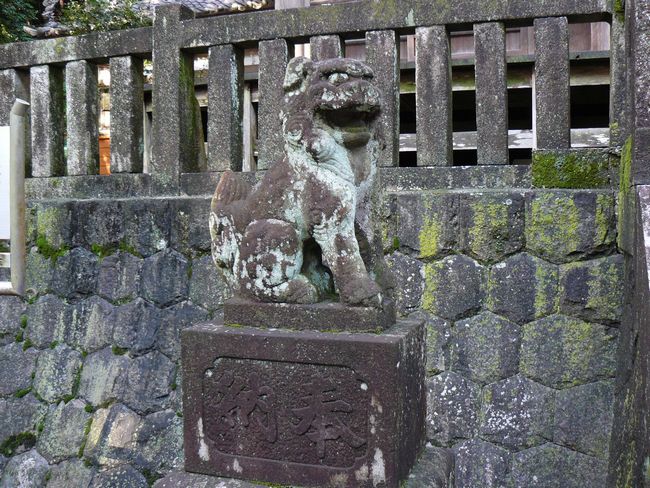 �v���v�_��