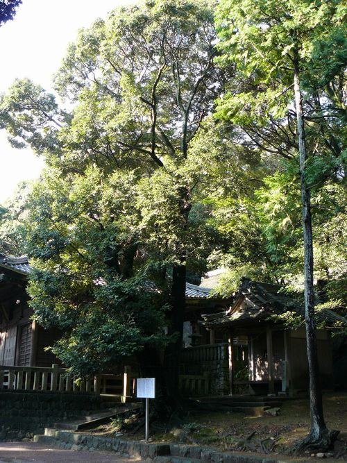 �v���v�_��