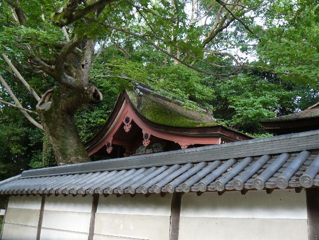 �䌕�����{