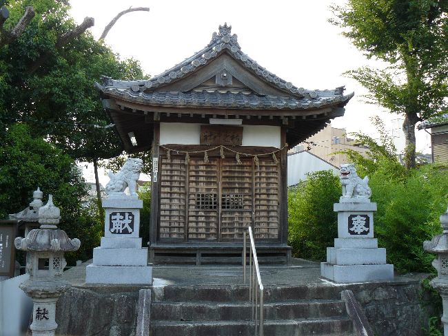 �V�c���R�_��