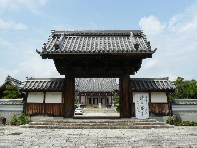 ���{�莛�ʉ@