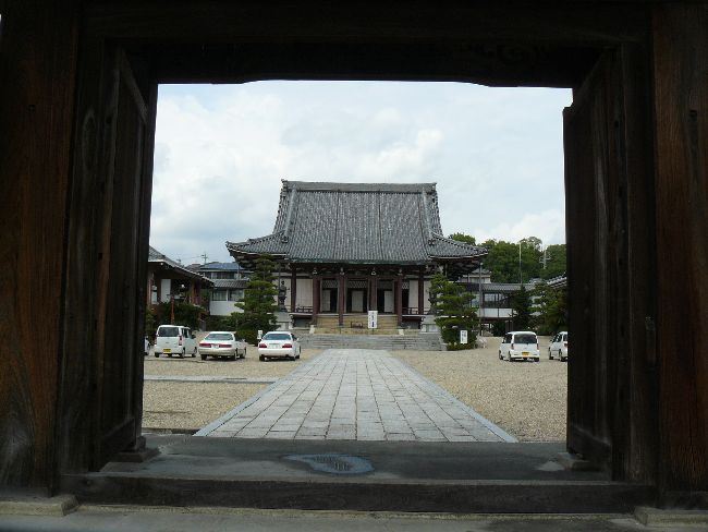 ���{�莛�ʉ@