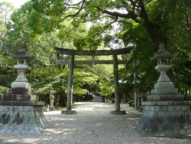 �Z���_��