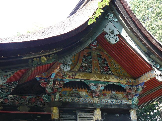 �Z���_��