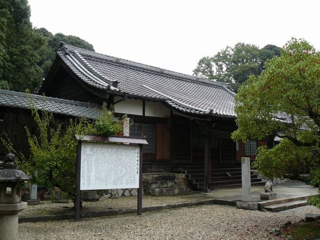 �M������