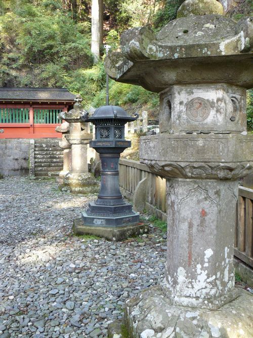 �P���R���Ƌ{