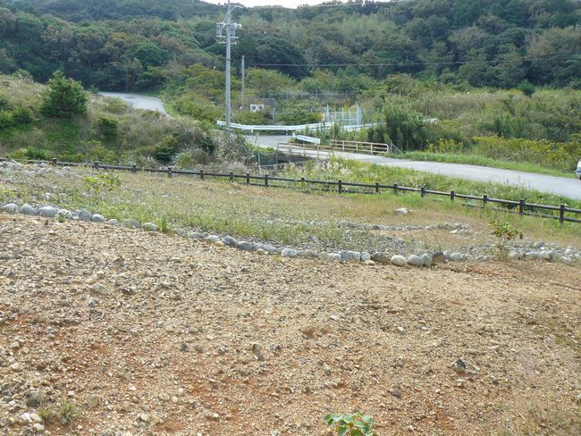 ���厛���q��