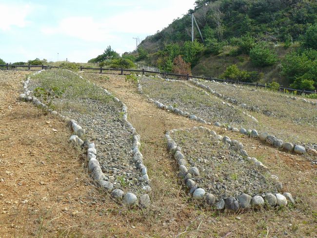 ���厛���q��