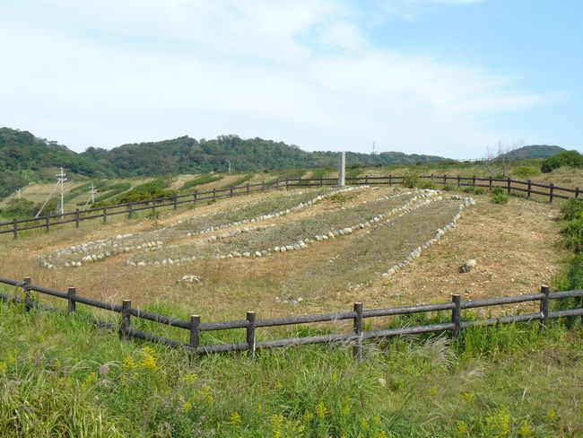 ���厛���q��