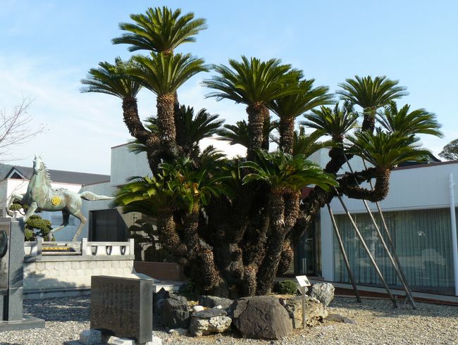 ���R�_��