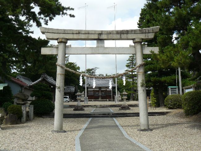 �������g�R����