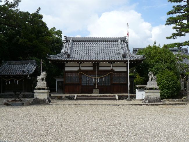 �������g�R����