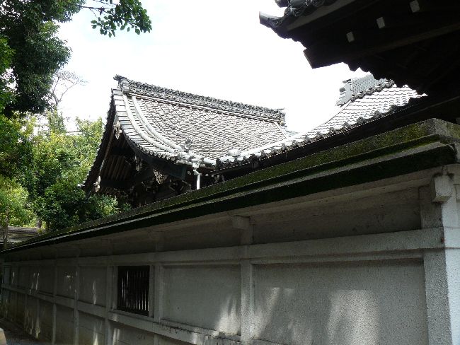 �������g�R����