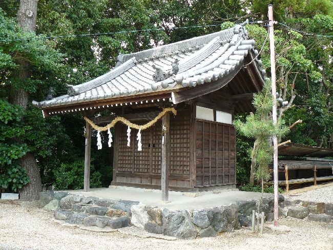 �������g�R����