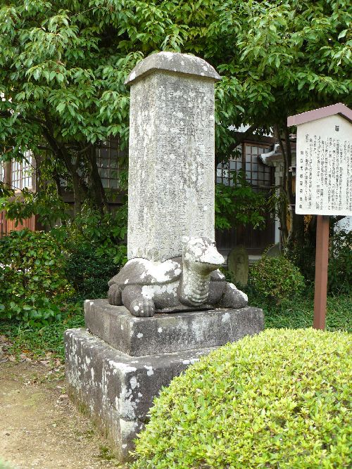 ���ʎ���