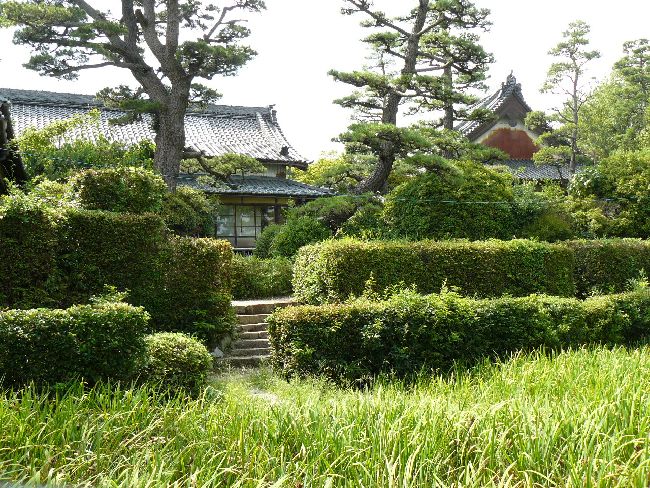 ���ʎ���