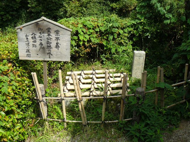 ���ʎ���