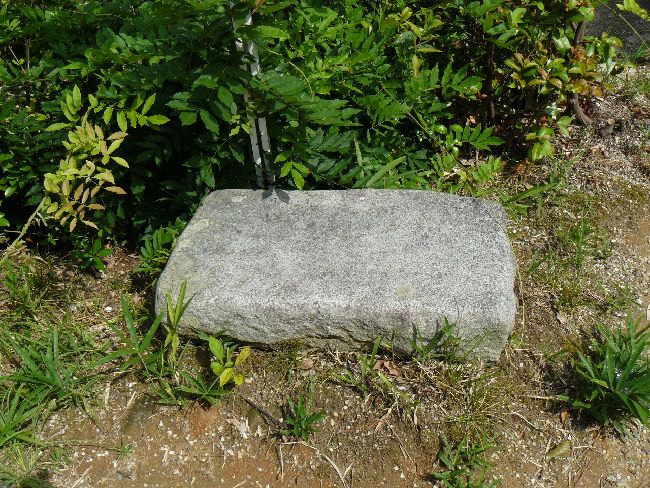 ���ʎ���