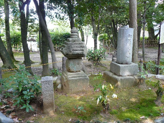 ���ʎ���