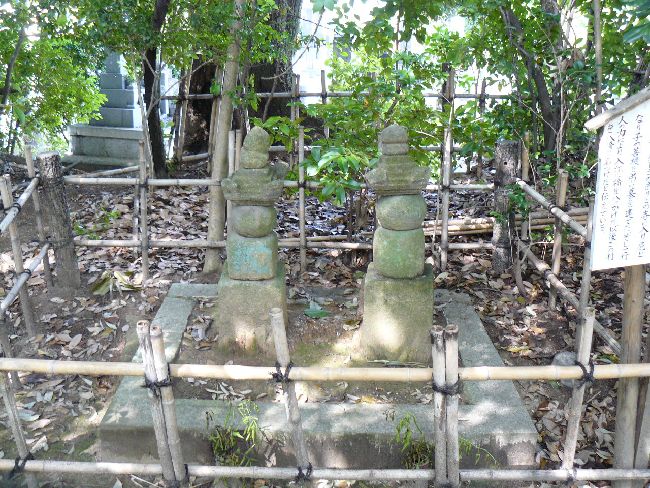 ���ʎ���