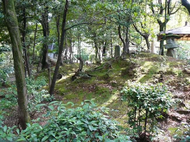 ���ʎ���