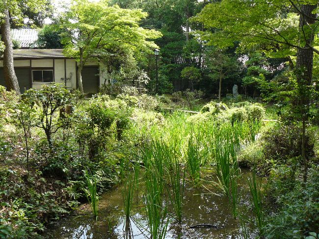 ���ʎ���