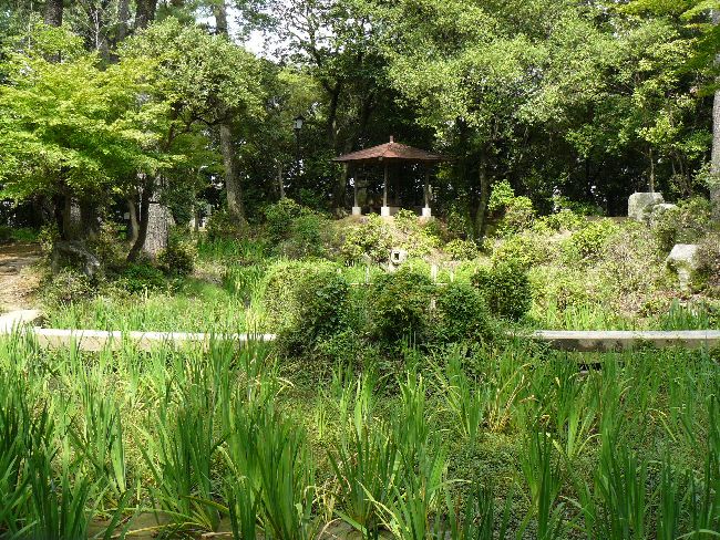 ���ʎ���