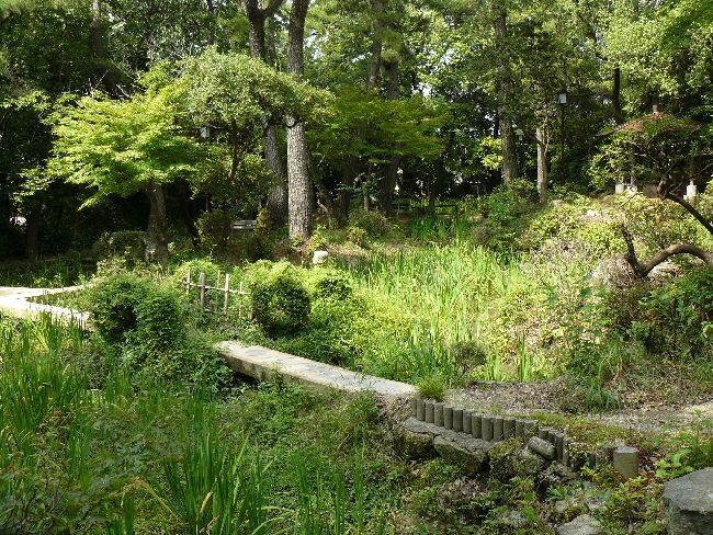 ���ʎ���