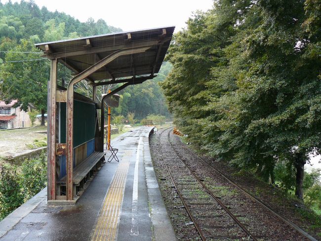 ���O�͍L���w