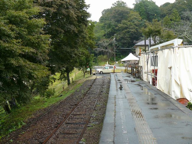 ���O�͍L���w