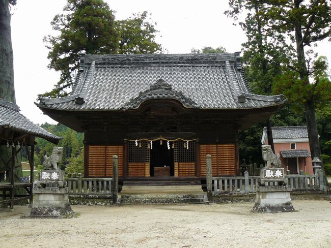 �Z���_��