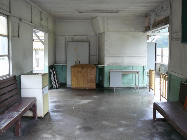 ���������w