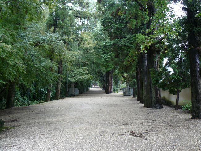 �����_��