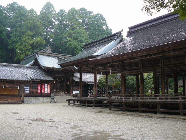 �����_��