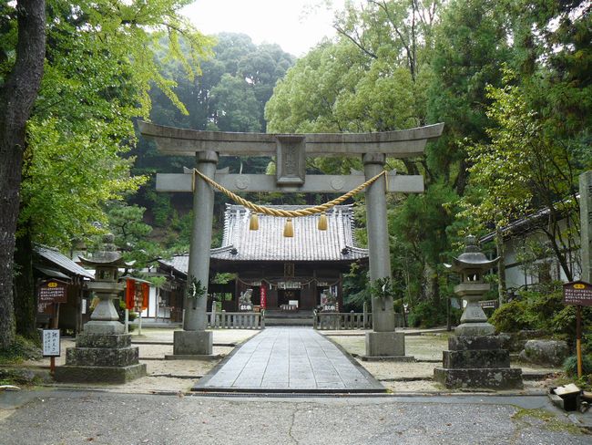 �������Ƌ{