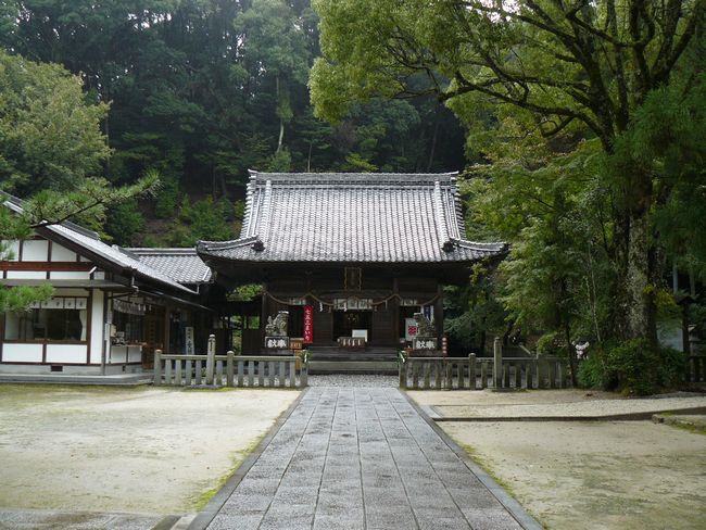 �������Ƌ{