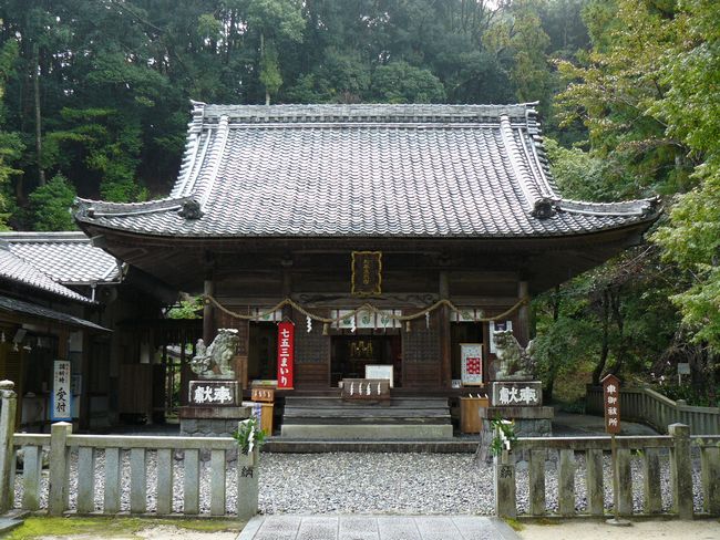 �������Ƌ{