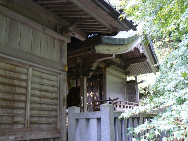 �������Ƌ{