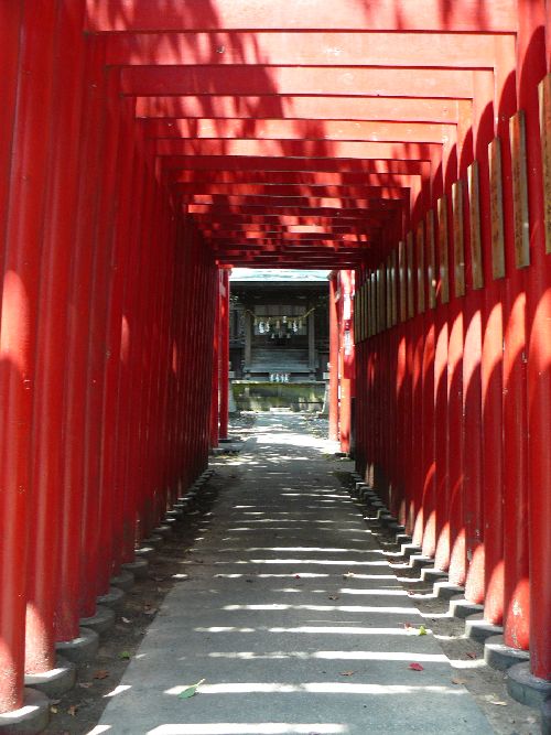 �H�c�����{